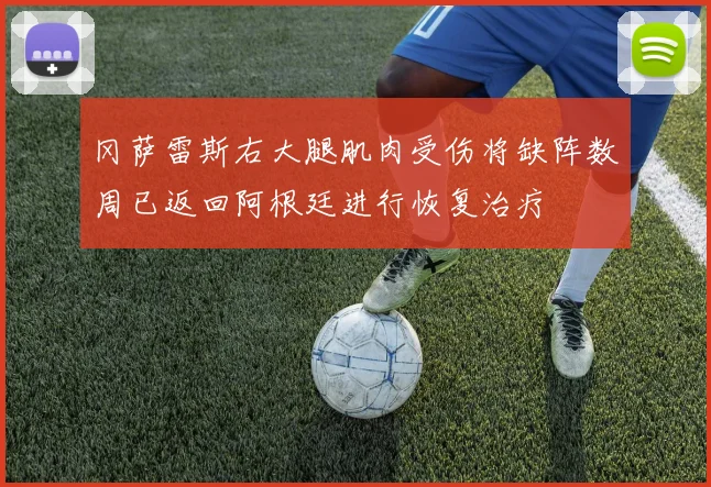 冈萨雷斯右大腿肌肉受伤将缺阵数周已返回阿根廷进行恢复治疗