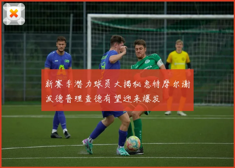 新赛季潜力球员大揭秘惠特摩尔谢泼德普理查德有望迎来爆发